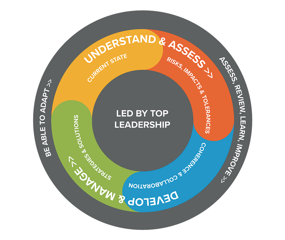 BCI Resilience Framework Cycle